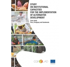 Study on Institutional Capacities for the Implementation of Alternative Development. Case study: Peru, Paraguay and Guatemala